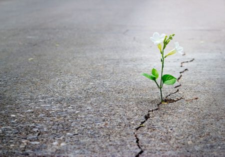 پیشنهاد معنا در معنادرمانی توسط مشاور